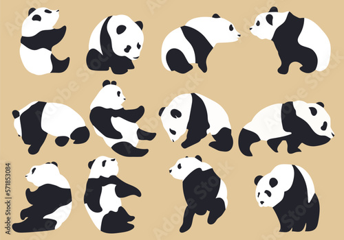 Cute panda illustration with many variations