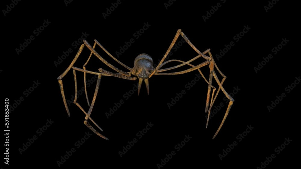 Giant Spider 3D Animation With Alpha Video Giant Spider 3D Animation With Alpha Video