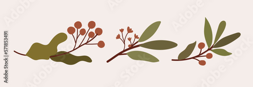 Hand drawn set of plant branches with leaves, flowers and red berries. Hand drawn vector plant illustration © nicevectors