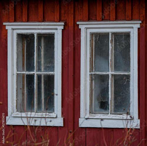 Frosty windows