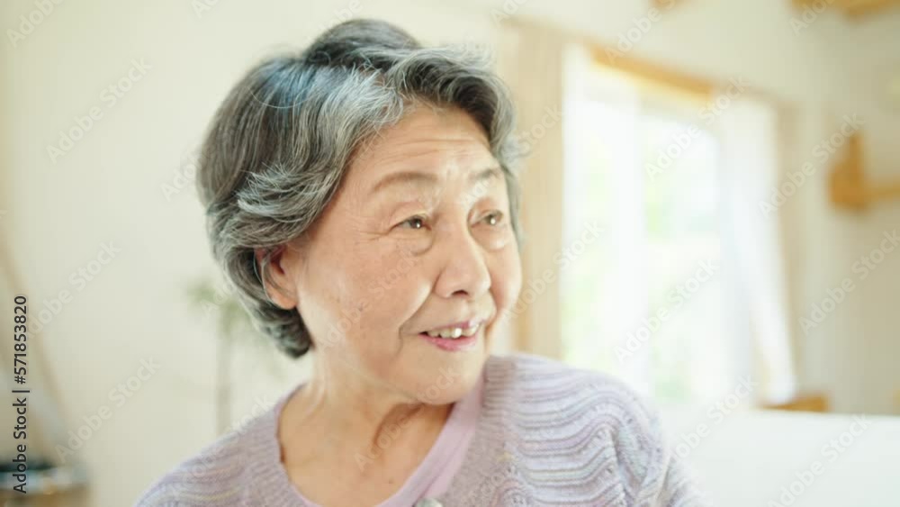 リビングで話すシニア女性 リビングで話すシニア女性