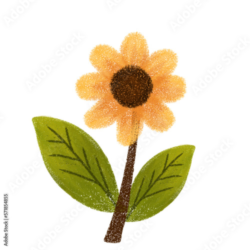 Bunga matahari ilustrasi photo