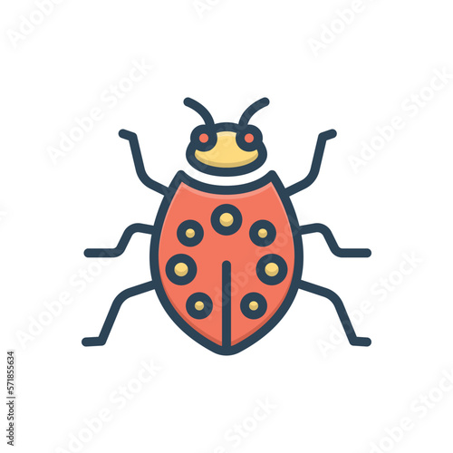 Color illustration icon for bug