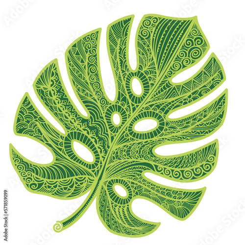 Monstera green leaf line style abstract design decoration. Vector monstera decoration isolated on white background for print.