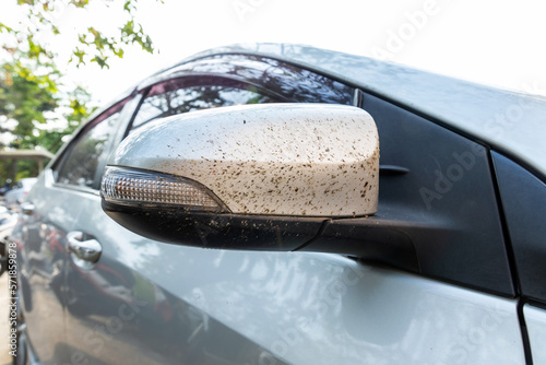 Close-up insects  bug and mosquitoes died damage squashed on side mirror car or truck. Car cleaning or washing business background.