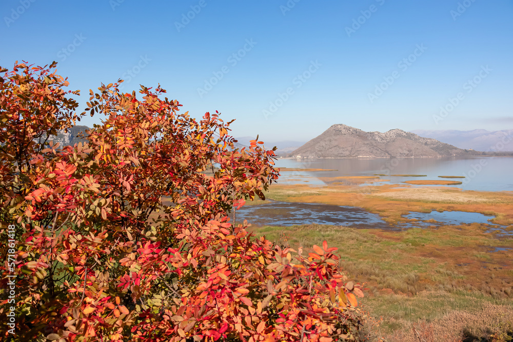 Selective focus in dried golden tree branch with panoramic view of Lake Skadar National Park in autumn seen from Virpazar, Bar, Montenegro, Balkans, Europe. Stunning travel destination in Dinaric Alps