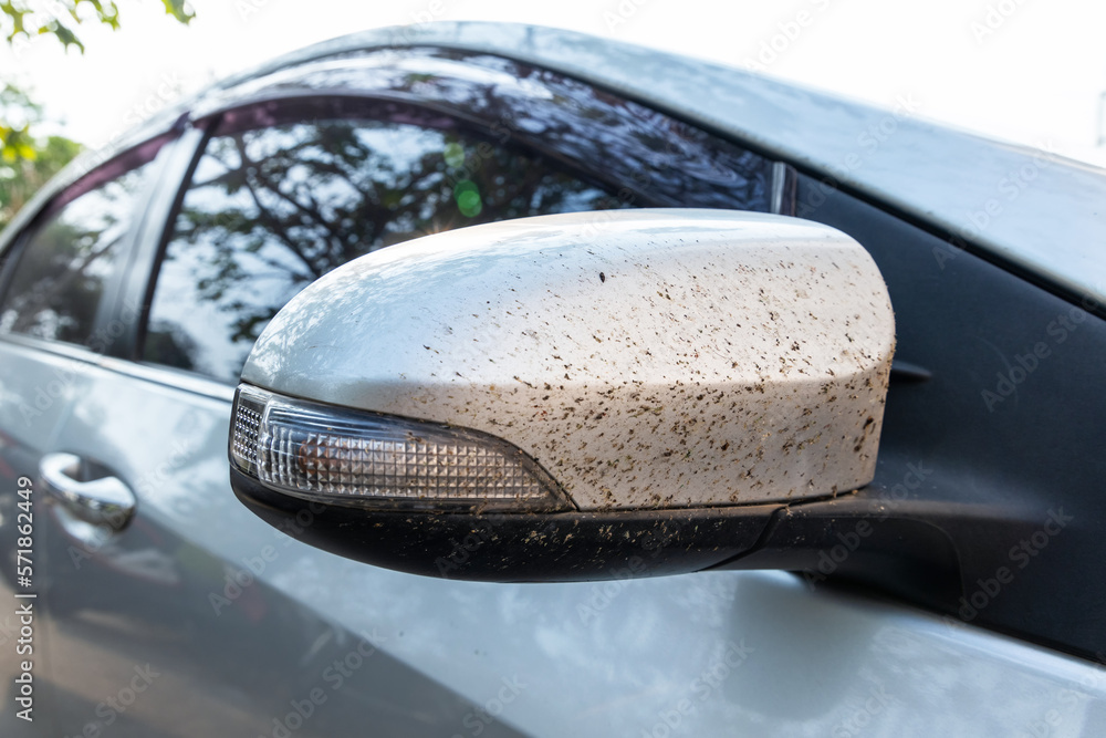 Close-up insects, bug and mosquitoes died damage squashed on side mirror car or truck. Car cleaning or washing business background. Close-up insects, bug and mosquitoes died damage squashed on side mirror car or truck. Car cleaning or washing business background.