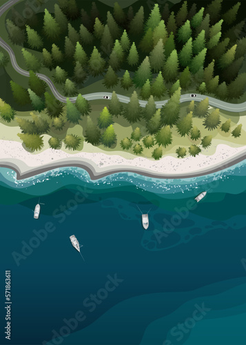 Sea and forest in a summer nature landscape from top. Vector illustration