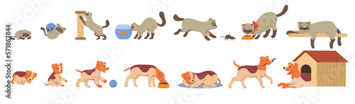 Pets growth stages set