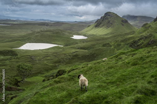 Amazing landscape of the Isle of Skye, Scottish Highlands, UK photo