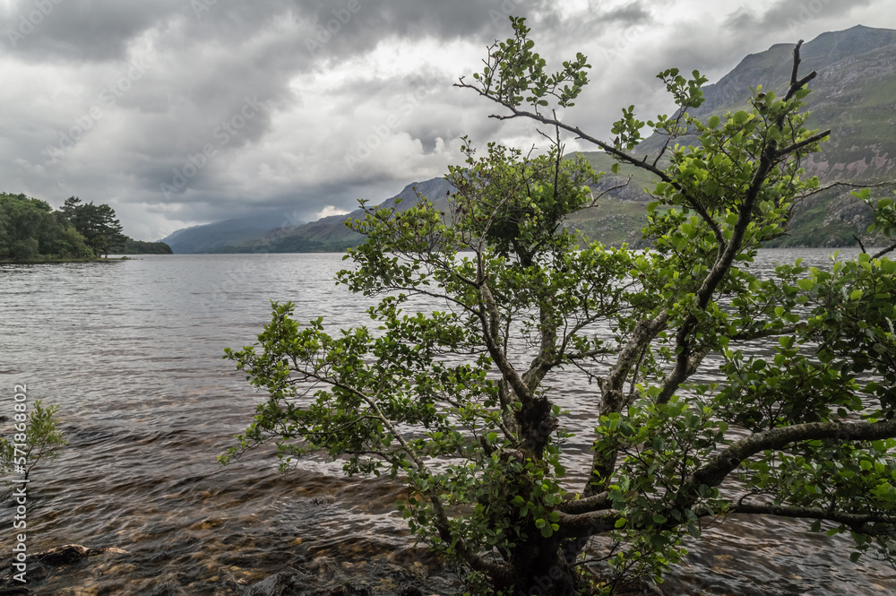 Landscape of the Loch Maree, Scotland, UK