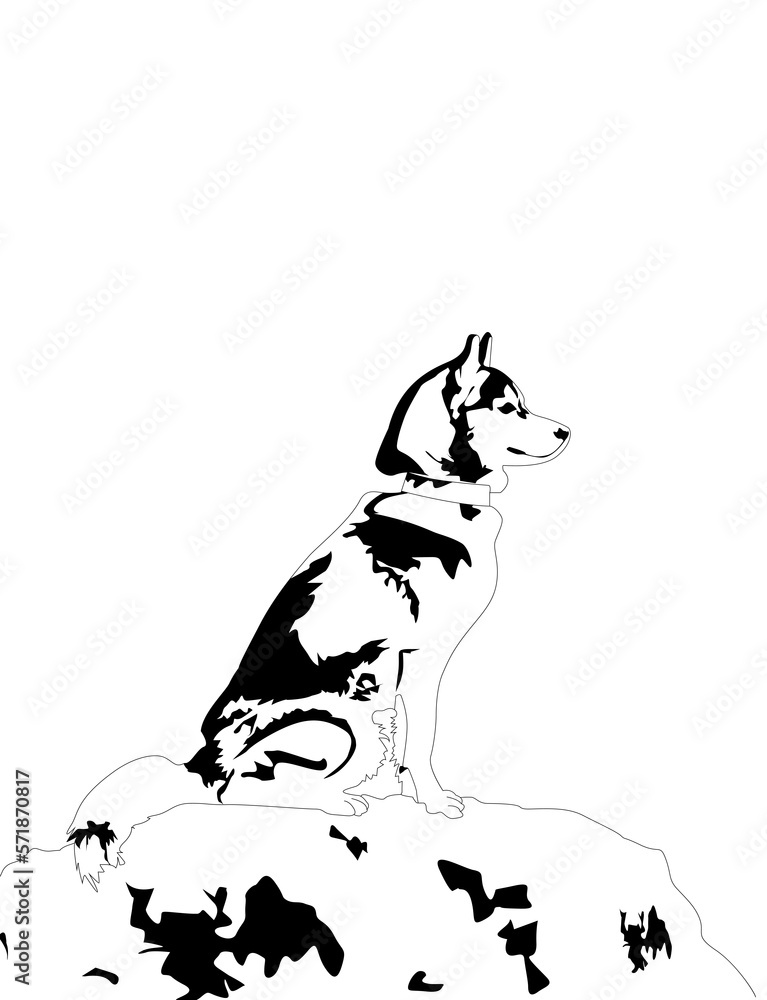 jasqui dog drawing on top of a rock jasqui dog drawing on top of a rock