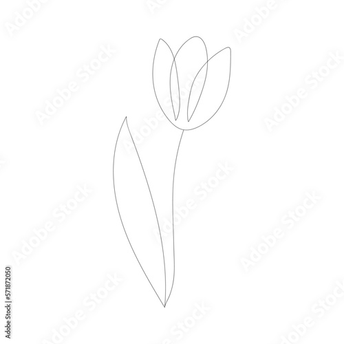 Tulip flower with one continuous line
