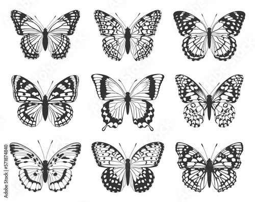 Silhouette of black butterflies. Collection of butterflies.