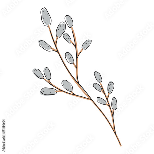Beautiful pussy willow branch blossom as a symbol of HAppy Easter with black lines isolated on white background. Hand drawn vector doodle illustration in flat cartoon style.