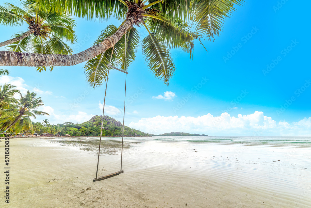 Swing on a Palm trees by the sea in Anse Volbert