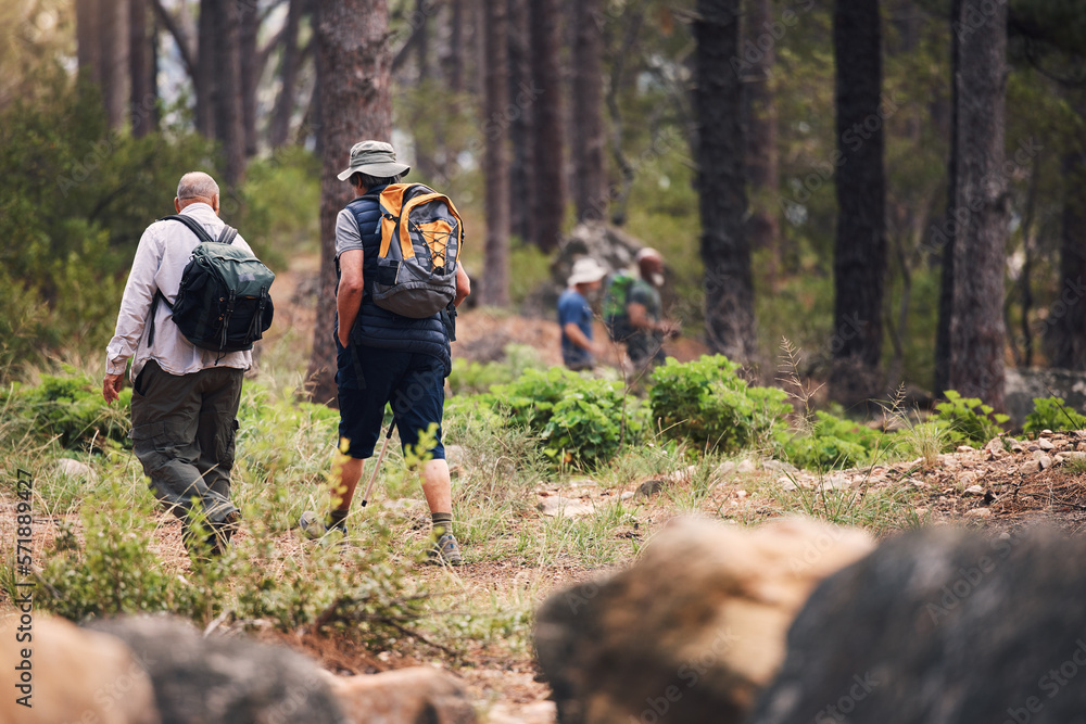 Hiking, fitness and people walking in forest for adventure, freedom and wellness in woods. Travel, outdoors and group of men hikers in natural environment for exercise, trekking and cardio workout - obrazy, fototapety, plakaty 