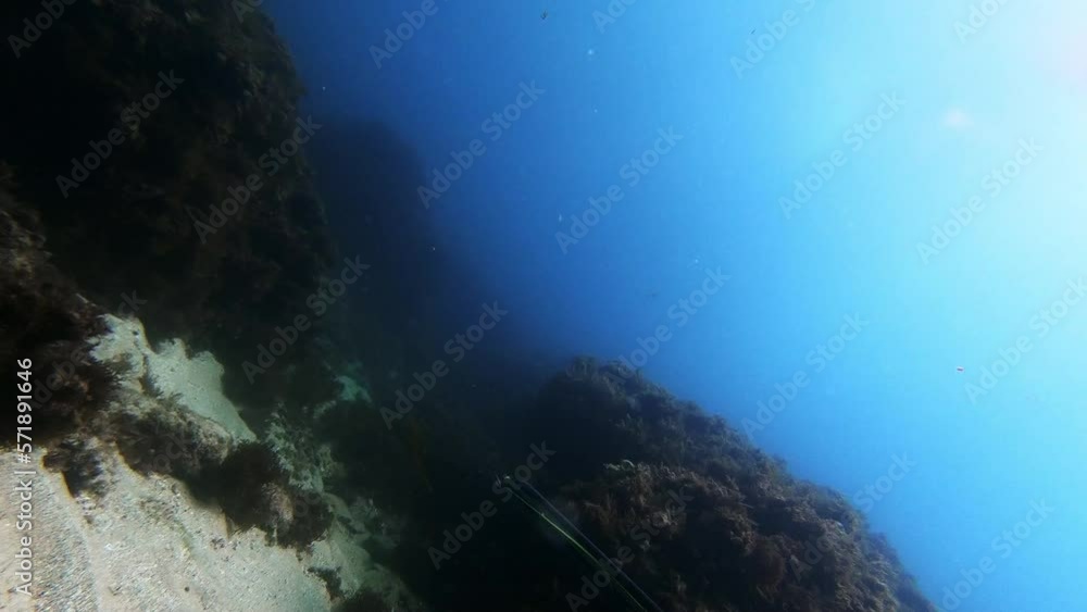 First person underwater shot of a diver approaching a stone to catch a fish First person underwater shot of a diver approaching a stone to catch a fish