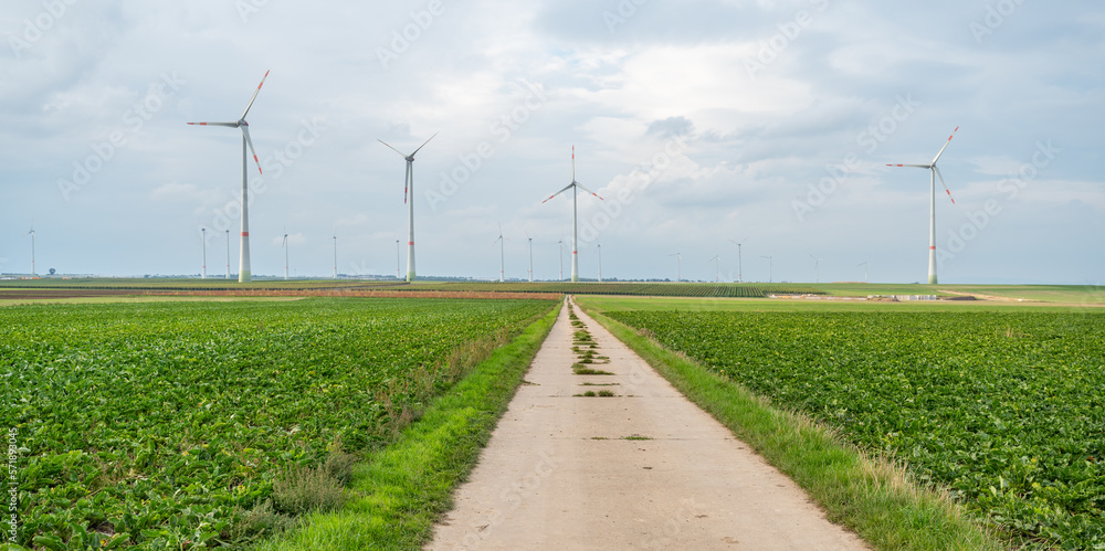 Agricultural path between agricultural fields with wind turbines wind park at the background during cloudy day, mainz, germany