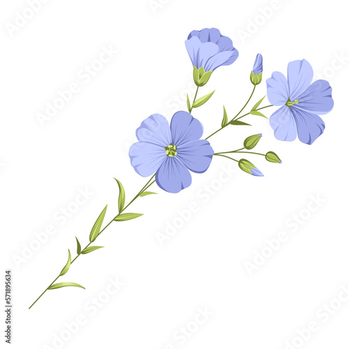 Vector illustration linen flowers. Isolated white background. Individual elements drawn flax.