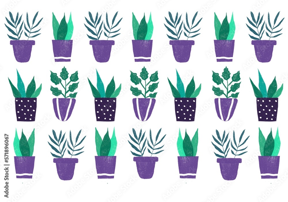 Potted house plants and flowers set. Green leaf houseplants, succulents. Foliage indoor decor in flowerpots for home and office interior. Flat coloured hand drawn Potted house plants and flowers set. Green leaf houseplants, succulents. Foliage indoor decor in flowerpots for home and office interior. Flat coloured hand drawn