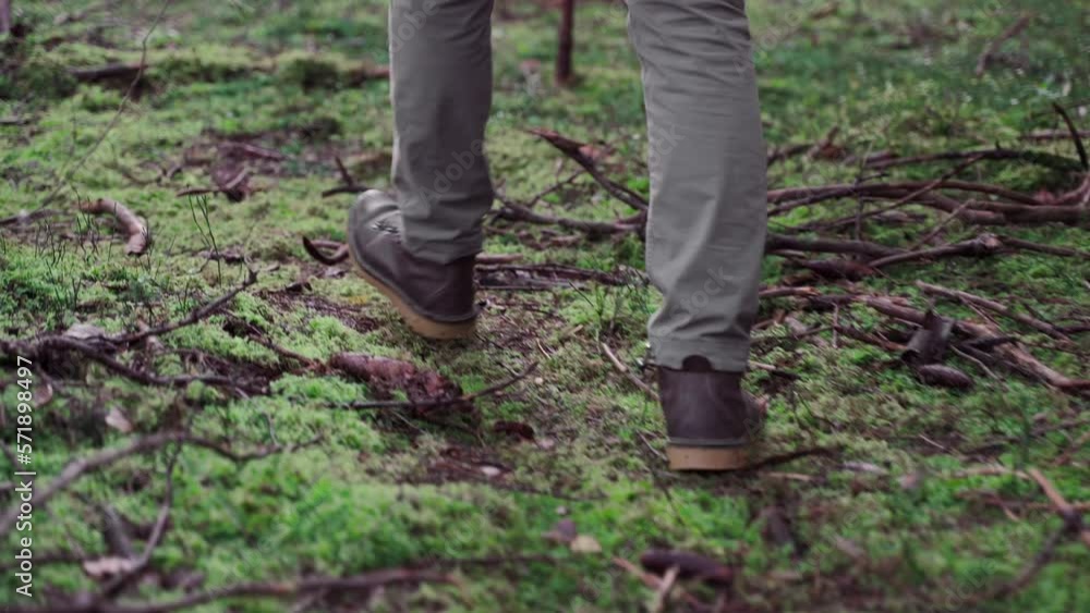 Feet of man hiker in pants and boots walk through dense forest with moss on ground. Male backpackers foot in hiking shoes walking through deep woods of moss on land rear view. Outdoor activities. Feet of man hiker in pants and boots walk through dense forest with moss on ground. Male backpackers foot in hiking shoes walking through deep woods of moss on land rear view. Outdoor activities.