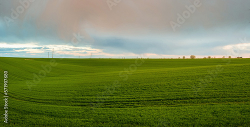 Panoramic natural landscape with curved line of green grass field and sky wit...