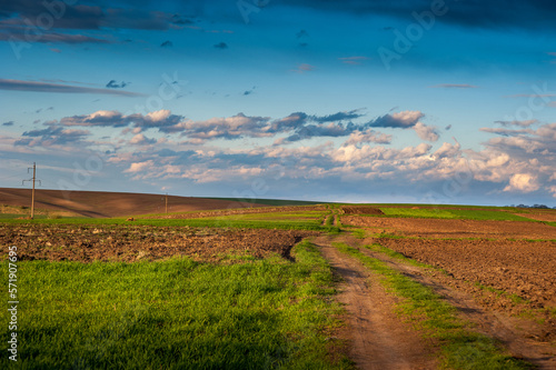 plowed and green field, dirt road and hills, clouds at sky, the springtime