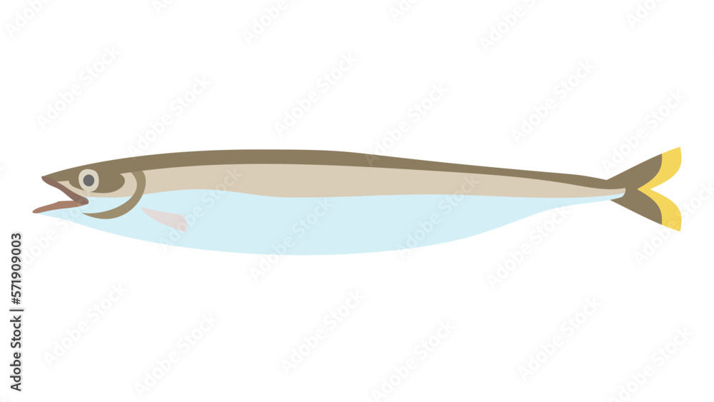 イカナゴのフラットなベクターイラスト イカナゴのフラットなベクターイラスト