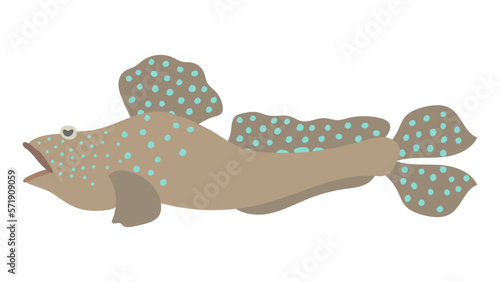 ムツゴロウのフラットなベクターイラスト