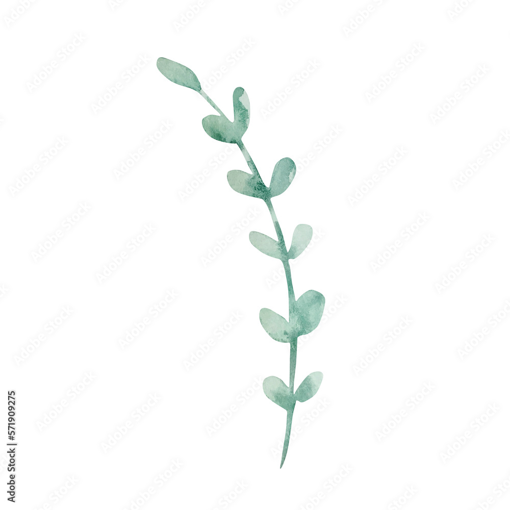 Watercolor branch with delicate green leaves, botanical Watercolor branch with delicate green leaves, botanical