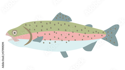 ニジマス（陸封型）のフラットなベクターイラスト