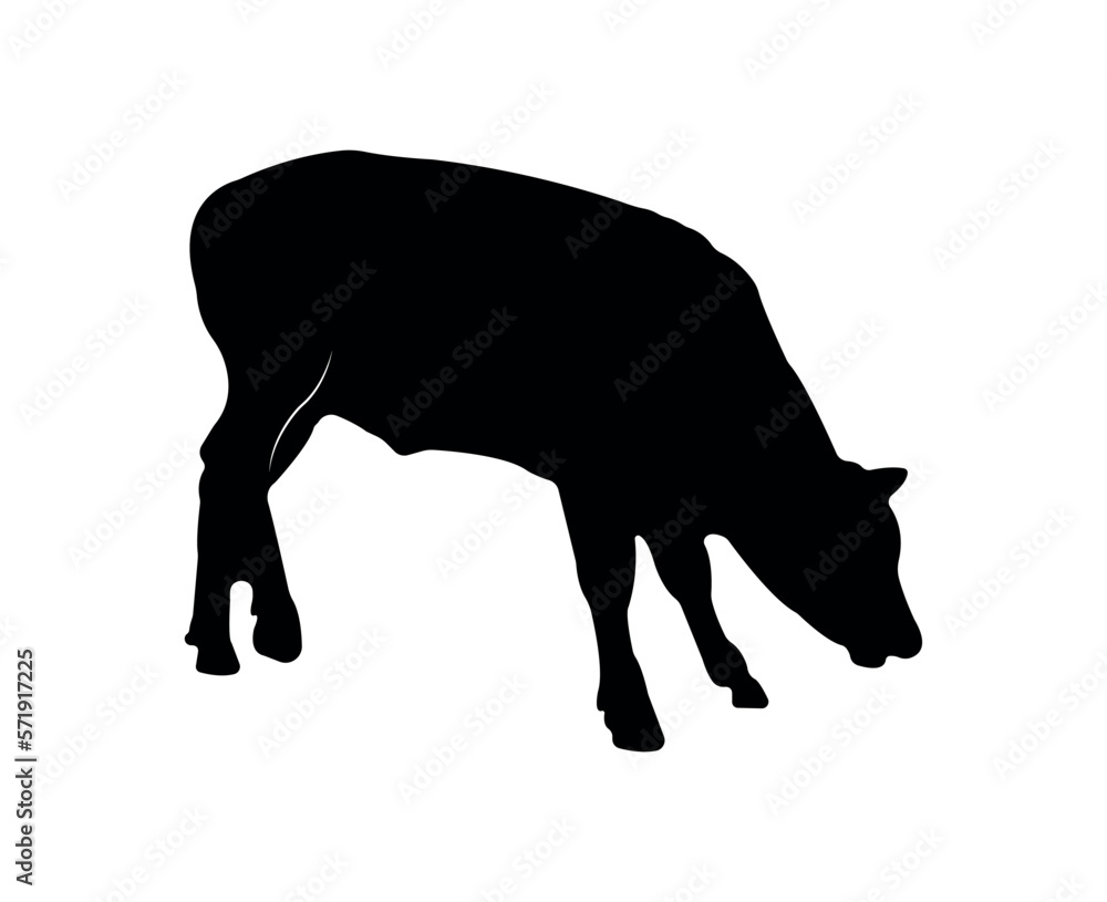 Vector cow silhouette isolated on white background Vector cow silhouette isolated on white background