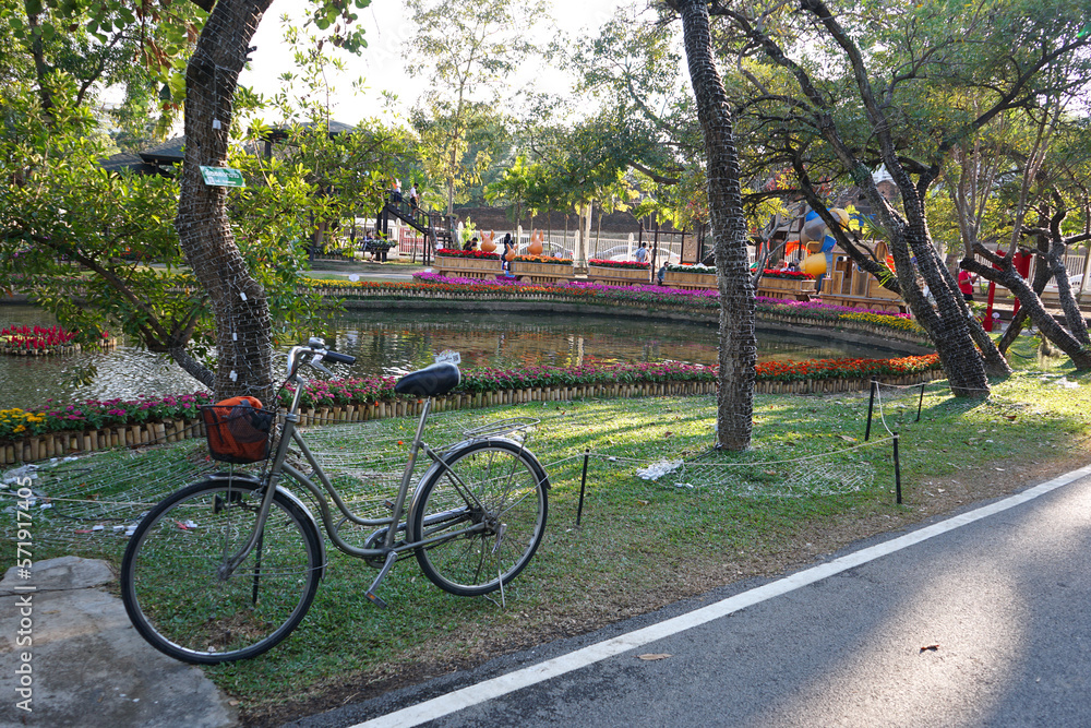 Chiang Mai City Park, Thailand, February 15, 2023: Chiang Mai City Park. There are many kinds of flower gardens and they are very beautiful.