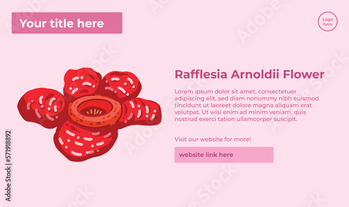 Rafflesia Arnoldii unique endangered flower plant from Indonesia vector illustration banner poster template isolated on landscape wallpaper. Big flower template with text placement guide.