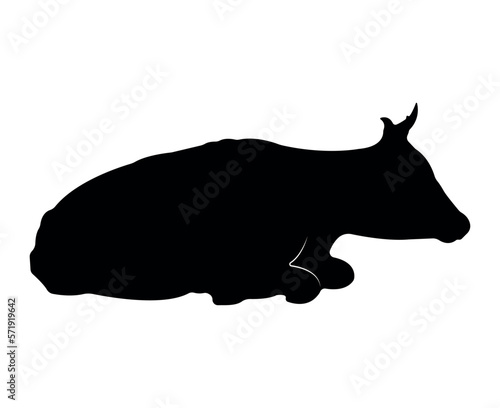 Vector cow silhouette isolated on white background