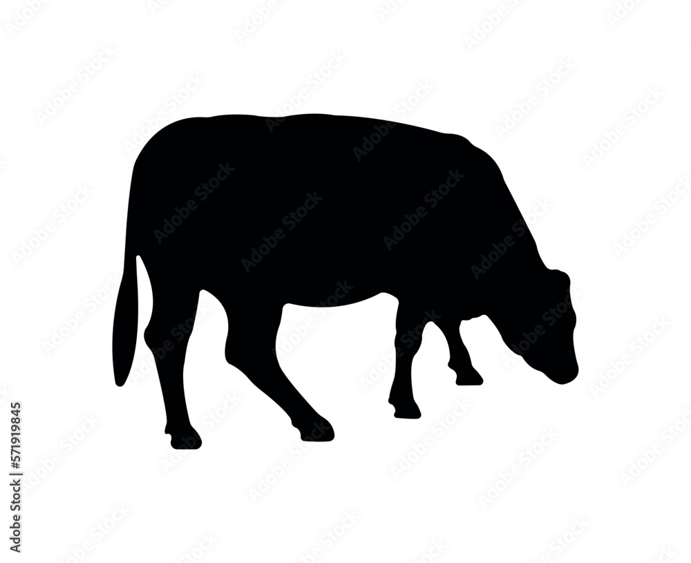Vector cow silhouette isolated on white background Vector cow silhouette isolated on white background