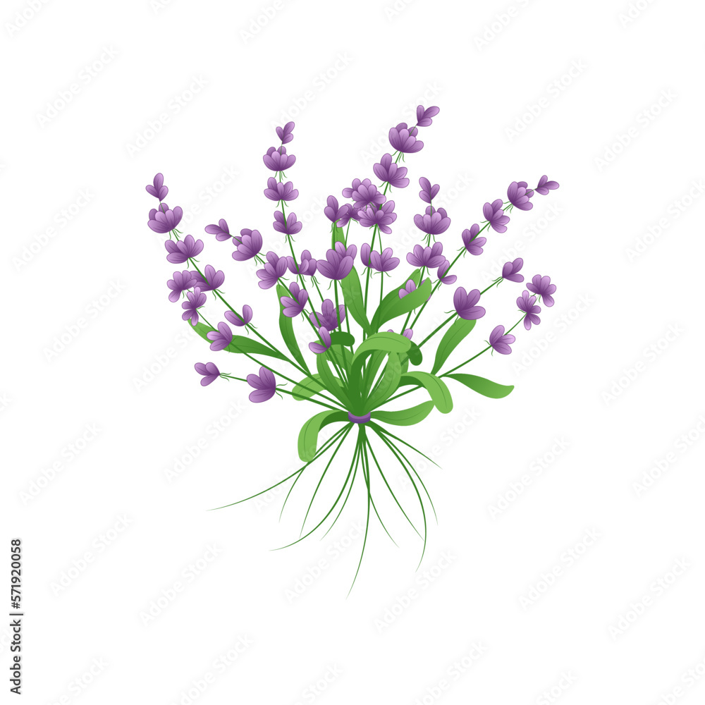 Fototapeta premium Beautiful bouquet of lavender
