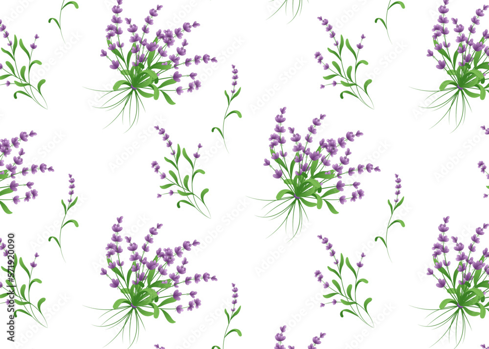 beautiful patern of lavender flowers on a white background beautiful patern of lavender flowers on a white background