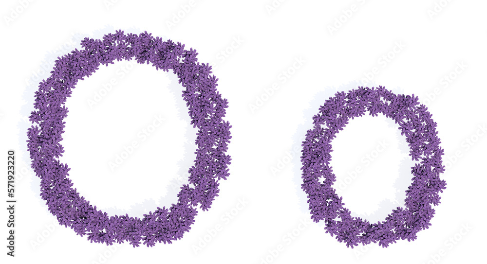 Concept or conceptual set of beautiful blooming lupine bouquets forming the font O. 3d illustration metaphor for education, design and decoration, romance and love, nature, spring or summer.