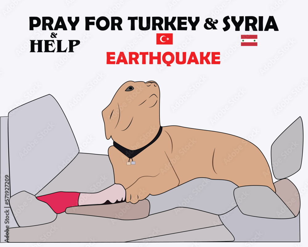 CHENNAI,INDIA, 15th FEB 2023 Pray and help for turkey and Syria earthquake Text with A Dog