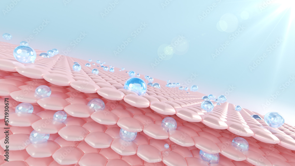 3D renderings of skin cells. Serum is absorbed via the skin to lessen ...