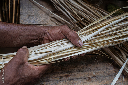 arrow cane photo