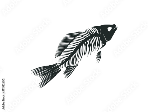 fishbone vector illustrations, fossil of the ancient fish