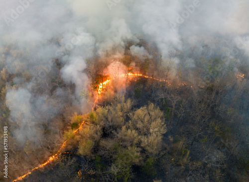Wildfires release carbon dioxide  CO2  emissions and other greenhouse gases  GHG  that contribute to climate change and global warming.