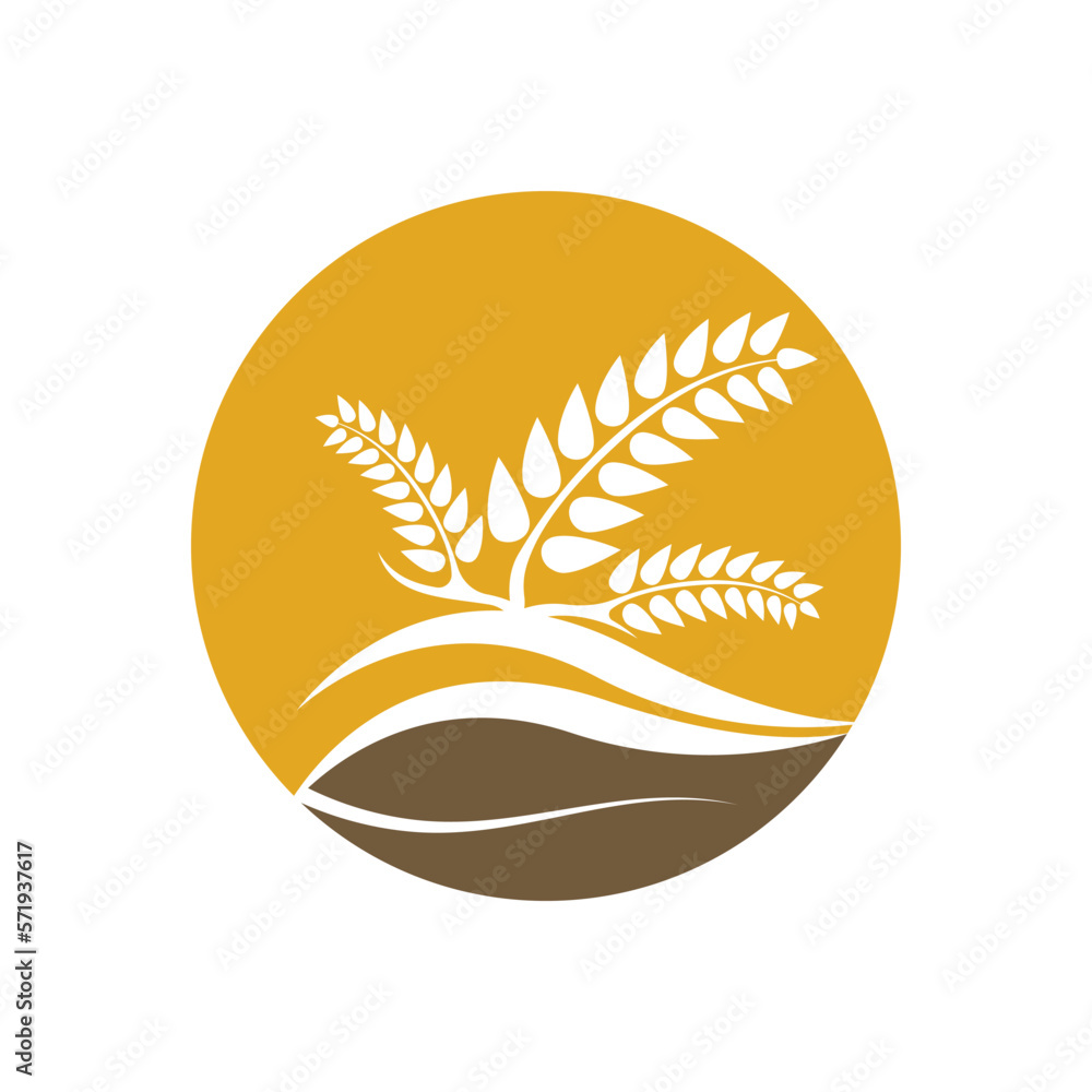 Wheat logo vector icon illustration Wheat logo vector icon illustration