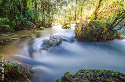 Rapid river flowing through forest photo