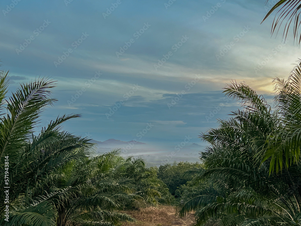 sea of mist in Nakhon Si Thammarat province sea of mist in Nakhon Si Thammarat province