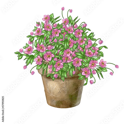 Fototapeta Naklejka Na Ścianę i Meble -  Color illustration of flowers in a pot. High quality illustration