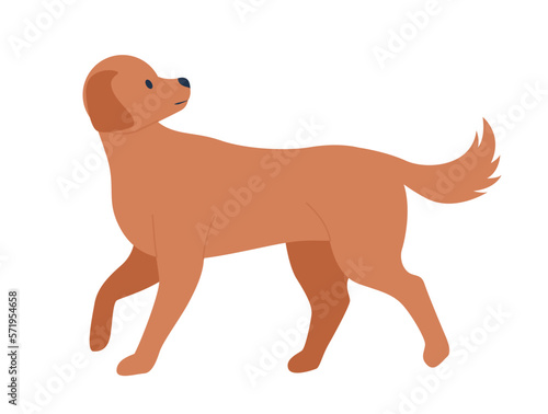 Mongrel dog walking and looking back semi flat color vector character. Mixed breed animal. Editable full body animal on white. Simple cartoon style illustration for web graphic design and animation